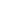 Professional Technical Support