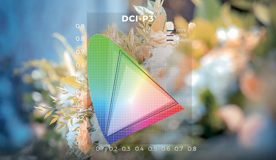 DCI-P3 Color Gamut